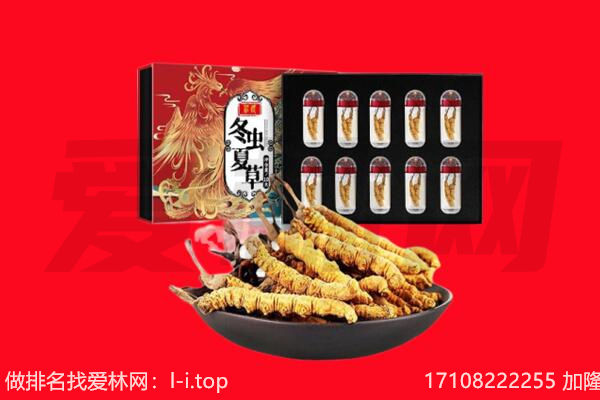 济南商河县回收虫草.jpg
